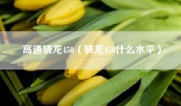 高通骁龙450（骁龙450什么水平）