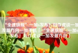 “全速旗舰”一加6发布！刘作虎谈一加发展方向一加手机「“全速旗舰”一加6发布！刘作虎谈一加发展方向」