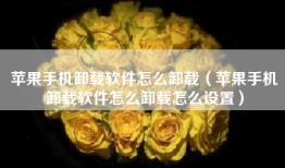 苹果手机卸载软件怎么卸载（苹果手机卸载软件怎么卸载怎么设置）