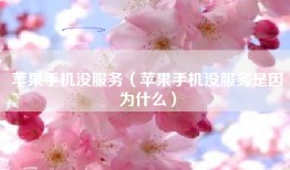 苹果手机没服务（苹果手机没服务是因为什么）