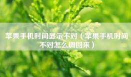 苹果手机时间显示不对（苹果手机时间不对怎么调回来）