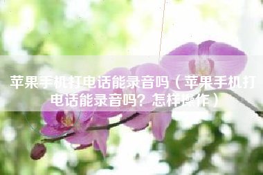 苹果手机打电话能录音吗（苹果手机打电话能录音吗？怎样操作）