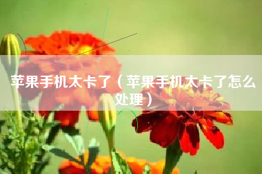 苹果手机太卡了（苹果手机太卡了怎么处理）