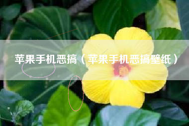 苹果手机恶搞（苹果手机恶搞壁纸）