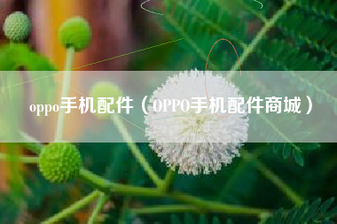 oppo手机配件（OPPO手机配件商城）